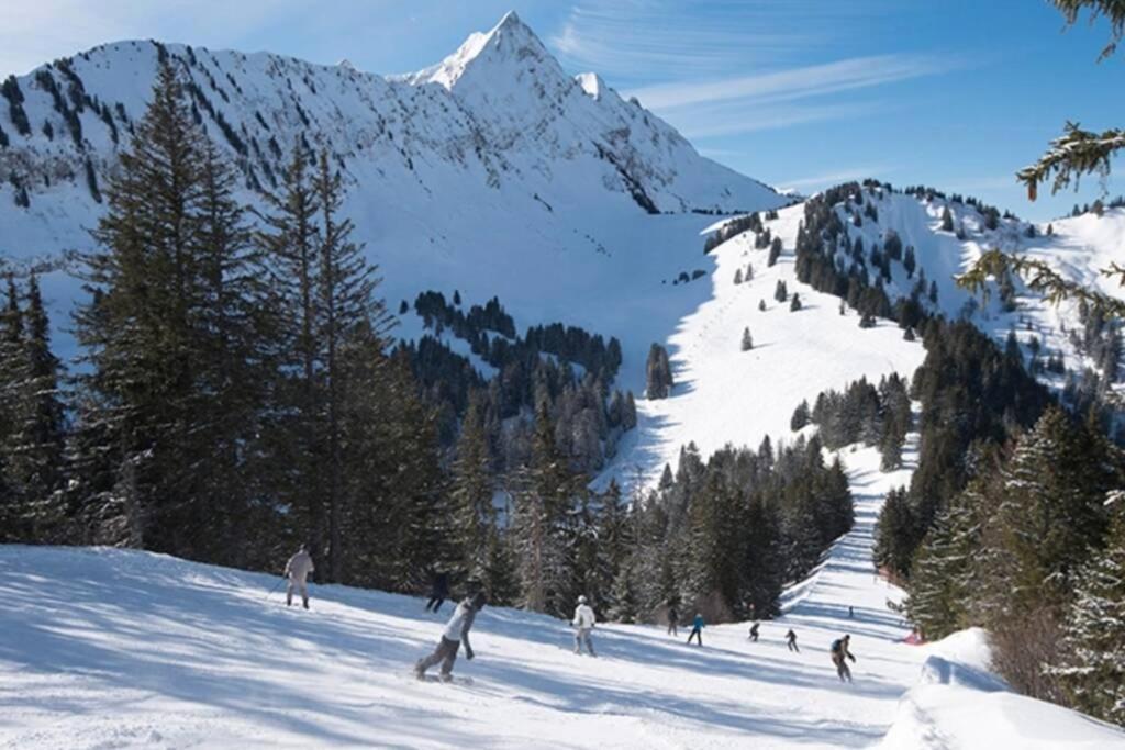Le Relai S31 - Grand Et Lumineux Studio Avec Coin Montagne 4-6 Pers, Tout Equipe, Avec Wifi, A 30M Des Pistes Avec Un Grand Balcon, Draps Non Compris Saint-Jean-d'Aulps Luaran gambar